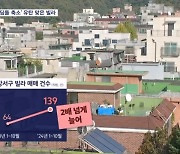 "간신히 회복 중인데"…'디딤돌대출 축소' 뒤통수 맞은 서민주택 빌라