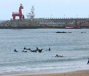 “많이 간다지만 예전만 못해”…제주, 내국인 관광객 1000만명 돌파시기 늦어져