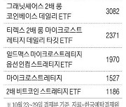 ETF에도 빛트코인 열풍