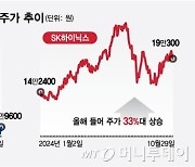 "SK하이닉스 주가 33% 올랐는데"…삼전은 -23% '나홀로 겨울'