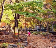 [포토뉴스]"대구 달성군에서 올 가을 풍경에 푹빠져 보시길 바랍니다"