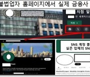 "멕시코 회사채로 연 17% 고수익 현혹"…금감원 소비자경보