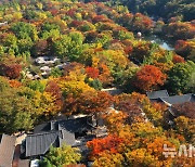 울긋불긋 물들어가는 한국민속촌