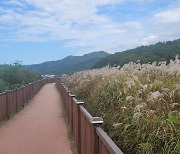 '광주호 호수생태원' 광주시 제1호 지방정원 됐다