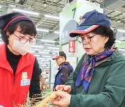 햇수삼 먹고 환절기 건강 챙겨볼까