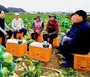 한덕수 국무총리, 김장배추 수급 점검