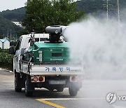 럼피스킨병 이어 조류인플루엔자까지···강원 방역 당국 '비상'