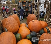 Poland Fall Harvest