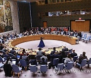 UN Security Council