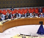 UN Security Council