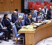 UN Security Council