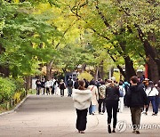 전국 대체로 맑음…낮 최고 19∼24도