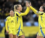 SWEDEN SOCCER