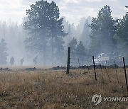 Colorado Wildfire