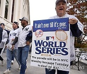 World Series Baseball