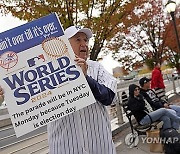 World Series Baseball