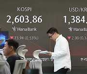 코스피 장중 2,600대서 약세…코스닥은 강보합(종합)