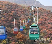 (EcoChina)CHINA-BEIJING-POFENGLING SCENIC SPOT-AUTUMN SCENERY (CN)