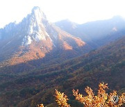 설악산 단풍 '절정'