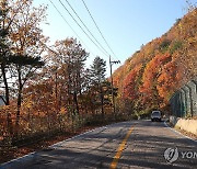 단풍으로 물든 미시령 옛길