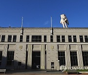 New Zealand Giant Hand