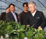 강호동 농협중앙회장, 진주 딸기 재배농가 현장 점검