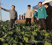 가을배추 생육 상황 살피는 권재한 청장