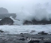 Asia Typhoon