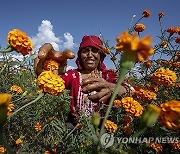 Nepal Hindu Festival