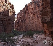 Election 2024 Arizona Native American Vote