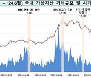 상반기 국내 가상자산 시총 55.3조원…작년 말보다 27%↑