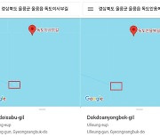 “바닷속에 잠긴 독도?”…구글 지도, ‘엉뚱한 안내’ 논란