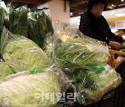 [포토]"오늘부터 대형마트서 배추 3,000원대 판매"