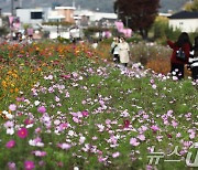 [오늘의 날씨]울산(31일, 목)…일교차 커, "강풍 유의"