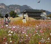 [오늘의 날씨]대구·경북(31일,목)…구름 많고 낮 최고 20~22도