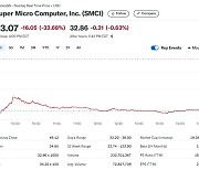 회계 부정 의혹 확산, 슈퍼 마이크로 33% 폭락(상보)