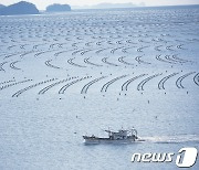 "2027년까지 수출 10억 달러 달성"…해수부, '김 산업 경쟁력 강화방안' 발표