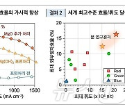 성균관대 연구팀, 초실감 디스플레이 구현 핵심 소재 개발