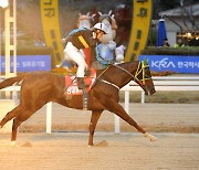 한국경마 황금기 이끈 명예경주마 ‘당대불패’,‘클린업조이’ 안성팜랜드 입사