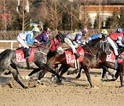 한국마사회, 11월 경마시행계획 발표…대망의 그랑프리는 마지막주 개최