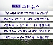 [YTN 실시간뉴스] "우크라에 참관단 안 보내면 직무유기"