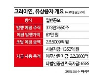 [증권신고서 읽는 기자]2조5천억 유증으로 공개매수 빚 갚고 지분도 확보하는 고려아연