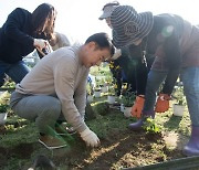 의정부시, 경의가든 가을 초화류로 새 단장