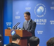 금감원 "고려아연 공개매수·유상증자 과정 부정행위 여부 집중 조사"