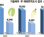 [데이터뉴스]기후위기에 식량안보 '빨간불'…가을무 재배면적 역대 최소