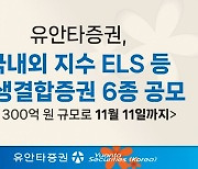 유안타證, 파생결합증권 6종 총 300억원 규모 공모