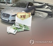 수입차 끌고 연 4회 해외 나가면서 '국민연금 보험료'는 미납