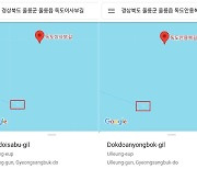 "여기가 독도라고?"..구글 지도에 '독도' 검색했더니 엉뚱한 곳 안내