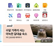 야놀자에 뜬 '수달이 사는 갈대숲'…이 숙소 예약하자 생긴 '착한 변화'[New & Good]