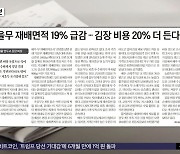 [오늘 아침 신문] 가을무 재배면적 19% 급감‥김장 비용 20% 더 든다